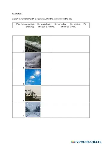 IE0, Unit 10, Language Builder, Exercise 1