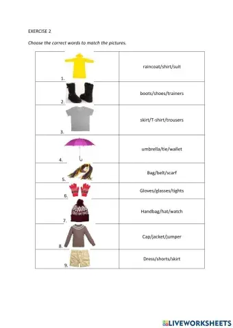 IE0, Unit 10, Language Builder, Exercise 2