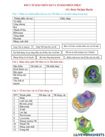 Tế bào nhân sơ và tế bào nhân thực