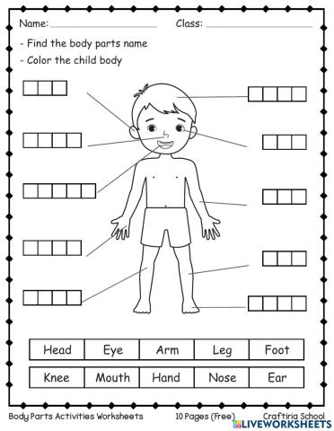 Grade 1 and 2 Human Body Packet
