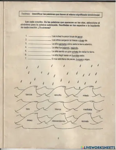 Identifica las palabras que tienen el mismo significado (sinónimos)