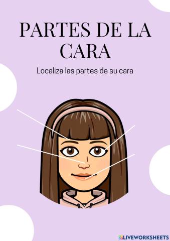Las partes de la cara