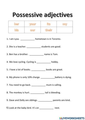 Possessive adjectives