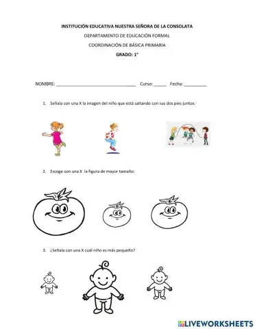 Estimulación Motricidad