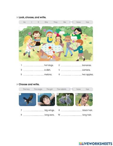 My first grammar 1- ws 15