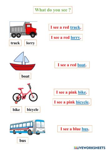 Means of transport - WHAT DO YOU SEE