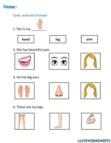 Everybody Up 1 - Unit 7