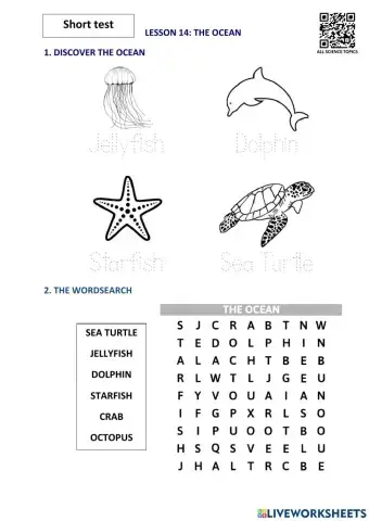 Lesson 14. the ocean