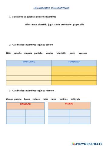 Género y número de los sustantivos