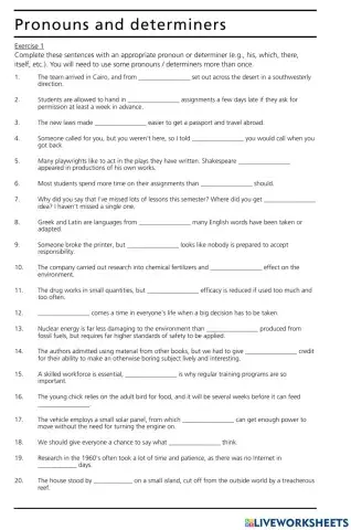 Grammar Ex.: Pronouns and Determiners