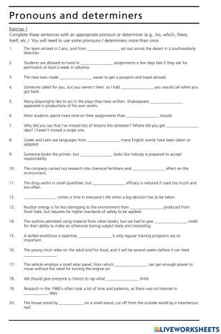 Grammar Ex.: Pronouns and Determiners