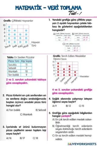 Matematik-Veri Toplama-Test-1