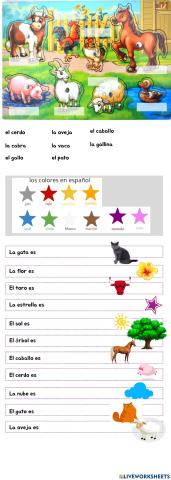 Animales domésticos Colores