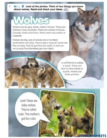 Lesson 4 -Aca2- Wolves