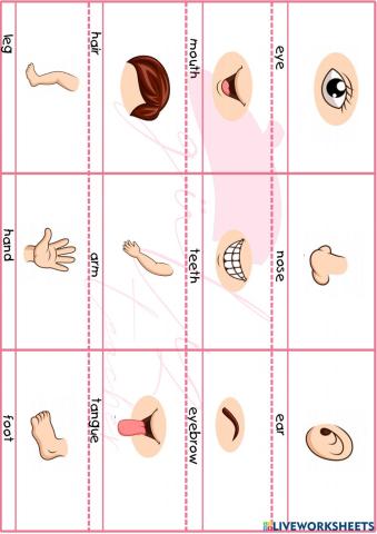 Body parts