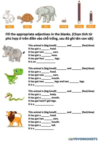 Animals and adjectives