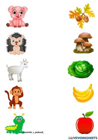 Нагодуй тварин