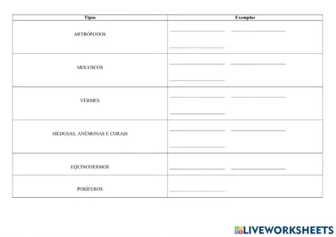 Tipos de invertebrados