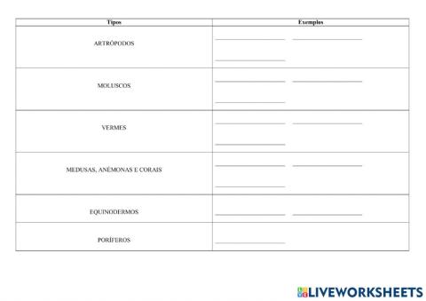 Tipos de invertebrados