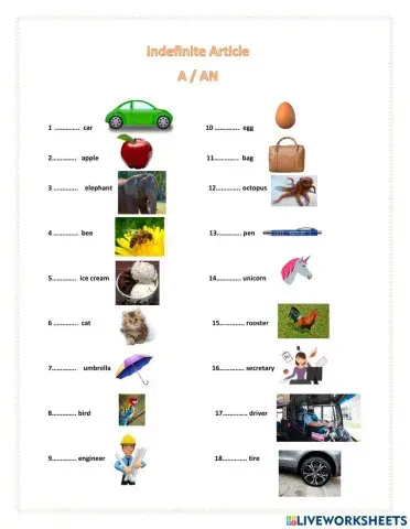 The Indefinite Article