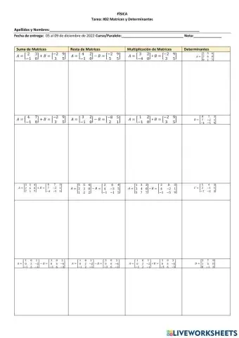 Matrices y determinantes
