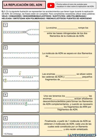 Replicación del ADN y las mutaciones.