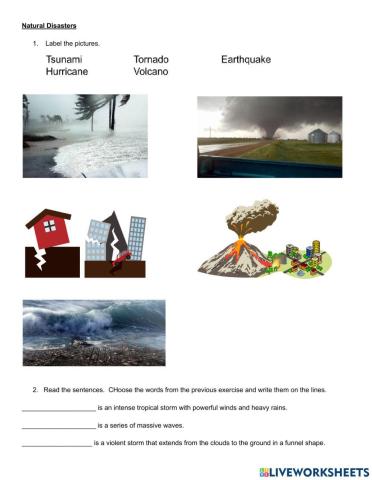 Natural Disaster 4th Grade Quiz