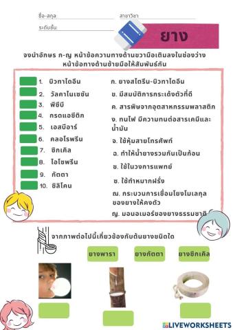 แบบฝึกหัดเรื่องยาง