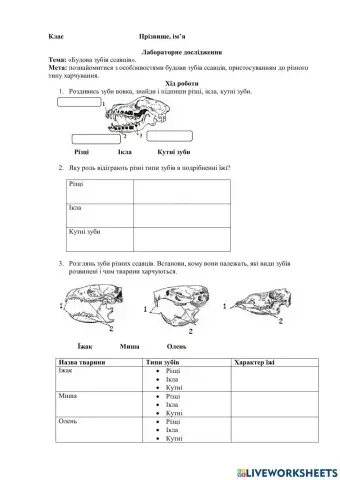 Будова зубів ссавців