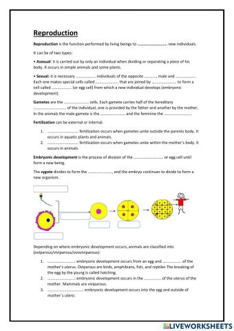 Reproduction animals