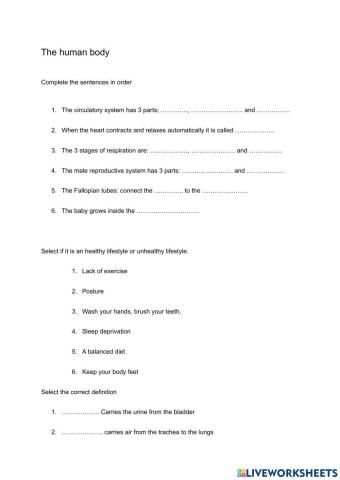 Unit 4: The Human body