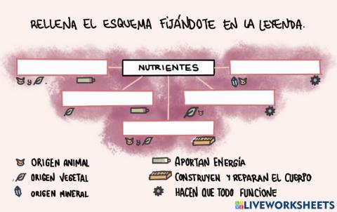 Esquema de los nutrientes