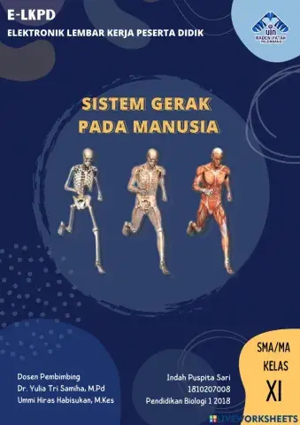 Sistem Gerak Manusia