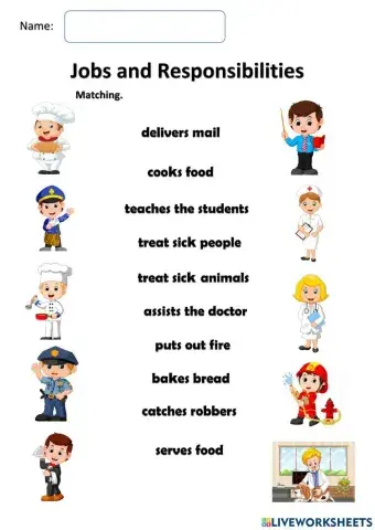 Jobs and Responsibilities