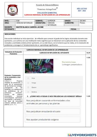 Examen CCNN - 1er. Quimestre.