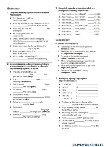 Junior explorer 5 unit 4 consolidation