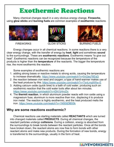 Exothermic Reactions 2022