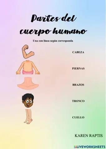 Partes del cuerpo humano