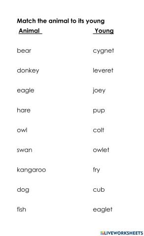 Animals and Their Young