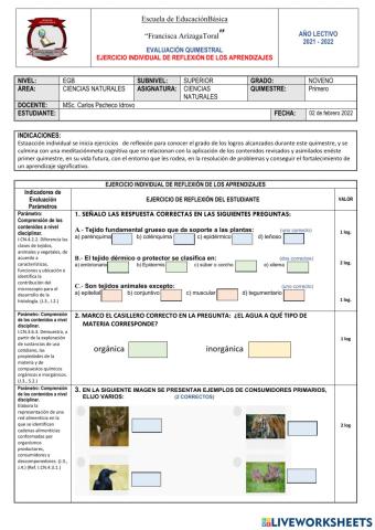 Examen CCNN - 1er. Quimestre