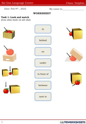 Homework-class Dolphin Feb 9th