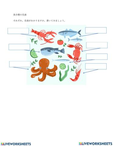 海鮮わかるかな