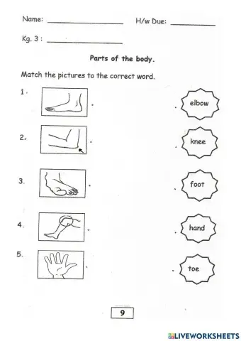 Parts of Our body (Match)