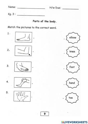 Parts of Our body (Match)