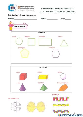 CPM1-Review 3D-2D shapes - symmetry & patterns
