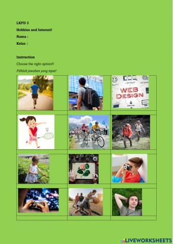 Hobbies and interests