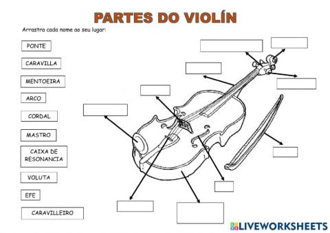 Partes do violín