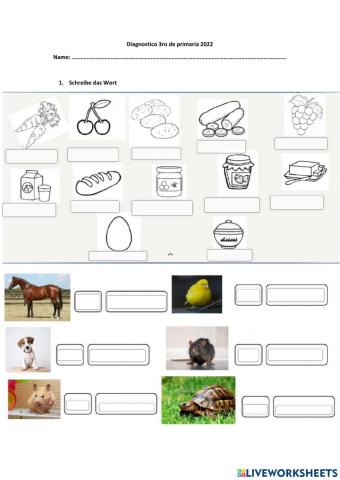 Diagnostico para 3ro