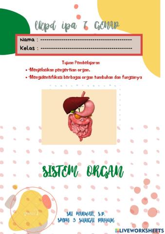 Sistem organ