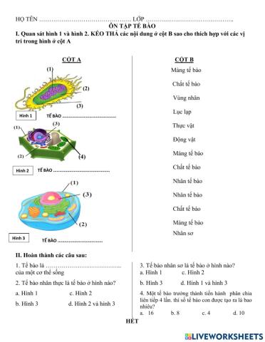 Bài ôn tập cuối kì i
